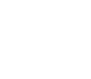 Rye College